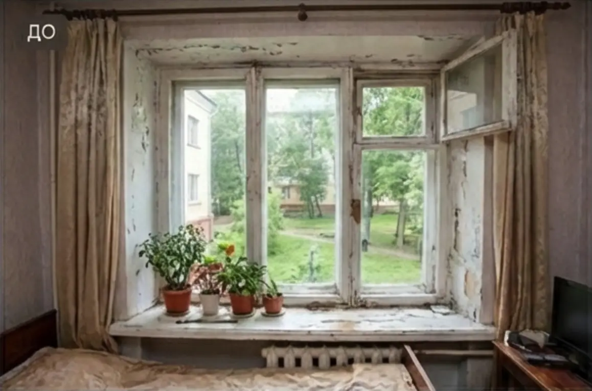 Старое окно с облупившейся краской и растениями